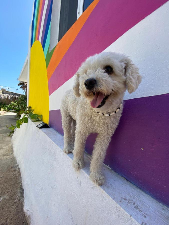 "Casitas Arcoiris" Excelente Ubicacion - Petfriendly Apartment Isla Mujeres Exterior photo