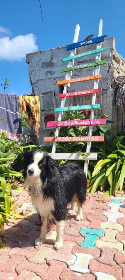 "Casitas Arcoiris" Excelente Ubicacion - Petfriendly Apartment Isla Mujeres Exterior photo